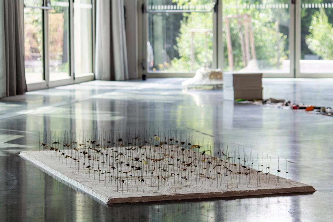 topographies-d-une-fuite