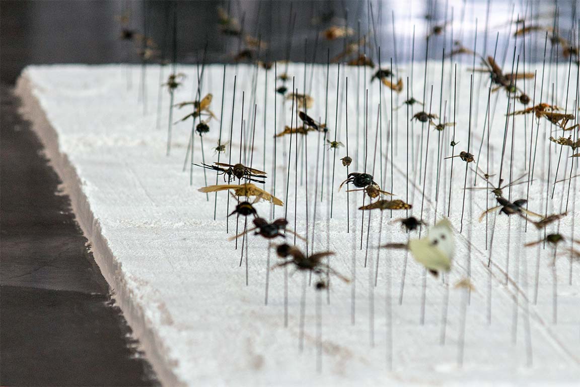 topographies-d-une-fuite